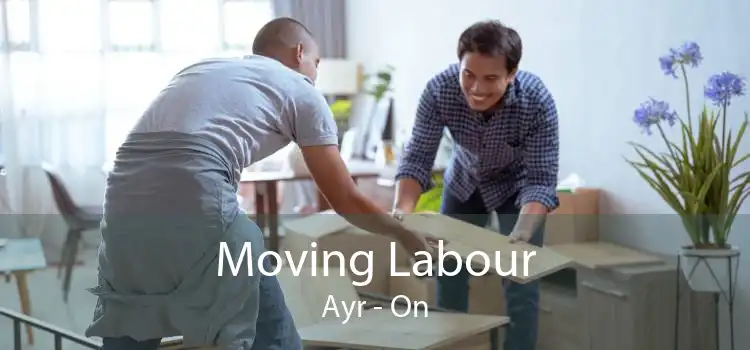 Moving Labour Ayr - On