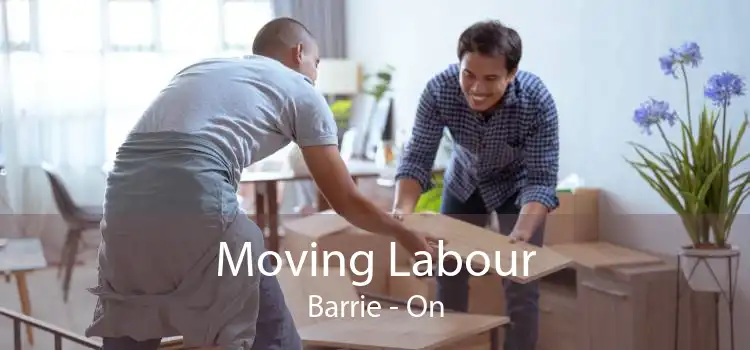 Moving Labour Barrie - On