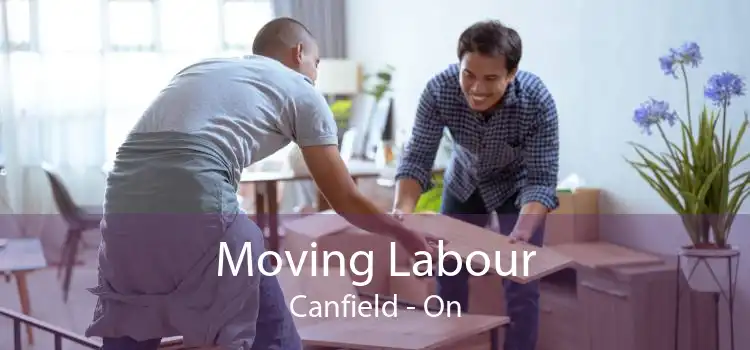Moving Labour Canfield - On