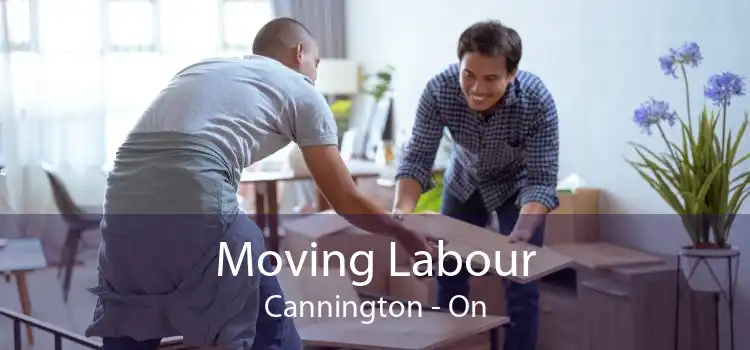 Moving Labour Cannington - On