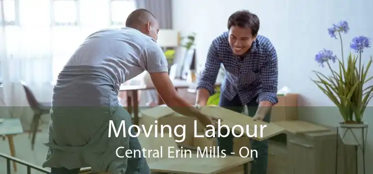 Moving Labour Central Erin Mills - On