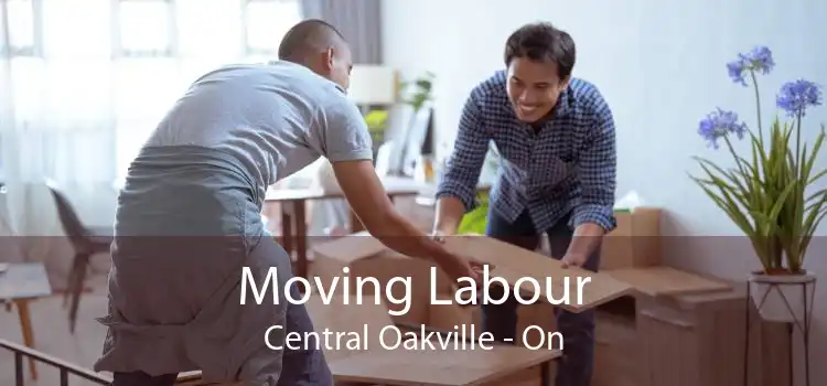 Moving Labour Central Oakville - On