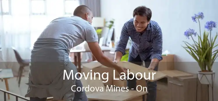 Moving Labour Cordova Mines - On