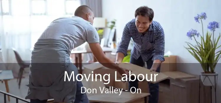 Moving Labour Don Valley - On