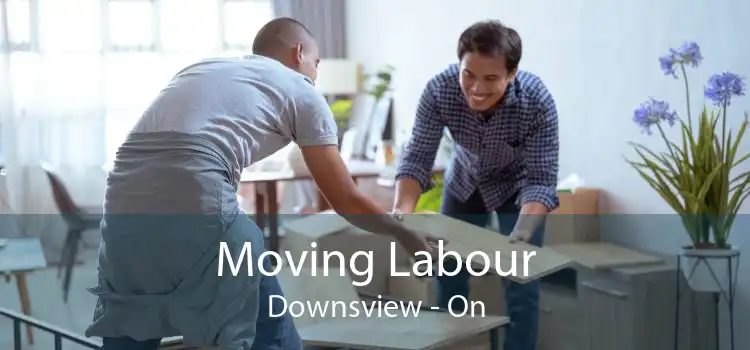 Moving Labour Downsview - On