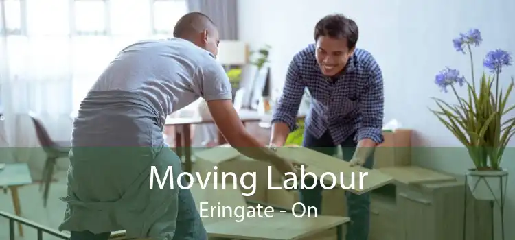 Moving Labour Eringate - On