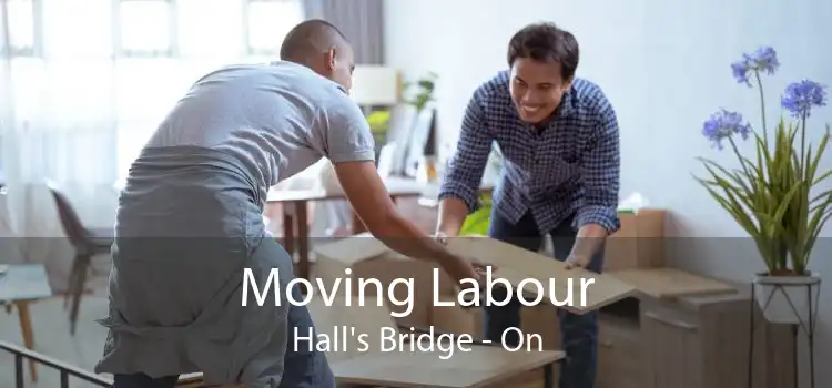 Moving Labour Hall's Bridge - On