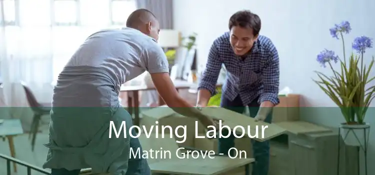 Moving Labour Matrin Grove - On