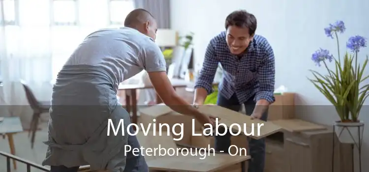 Moving Labour Peterborough - On