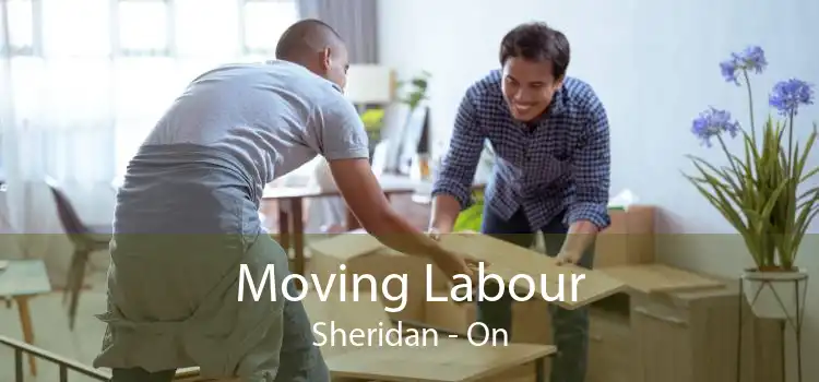 Moving Labour Sheridan - On