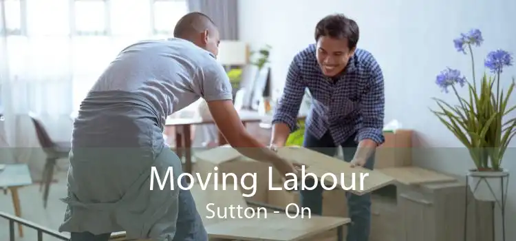 Moving Labour Sutton - On