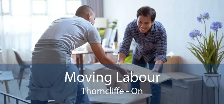 Moving Labour Thorncliffe - On