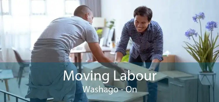 Moving Labour Washago - On