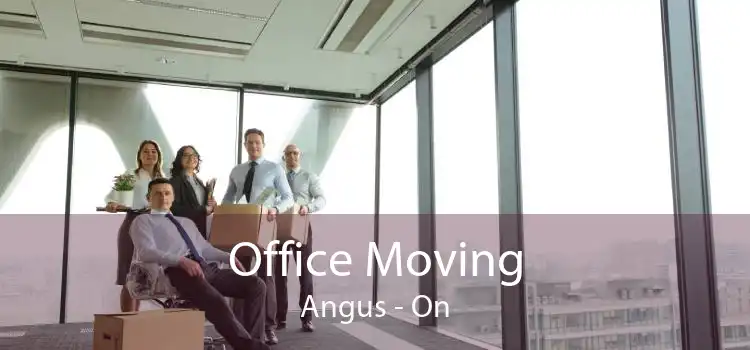 Office Moving Angus - On