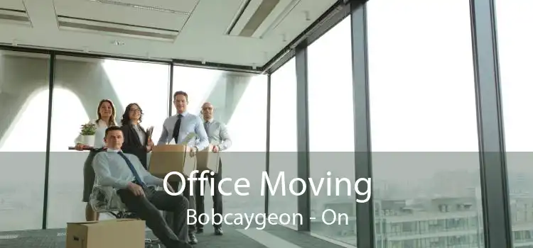 Office Moving Bobcaygeon - On