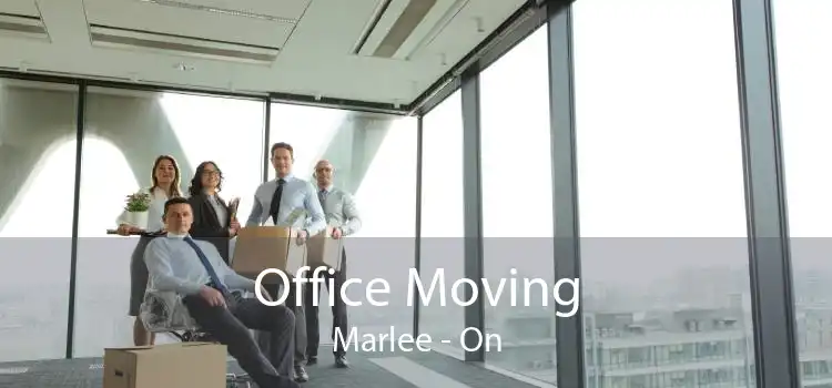 Office Moving Marlee - On