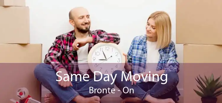 Same Day Moving Bronte - On