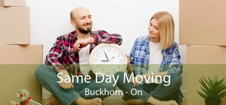 Same Day Moving Buckhorn - On