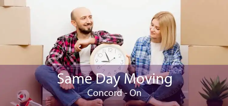 Same Day Moving Concord - On