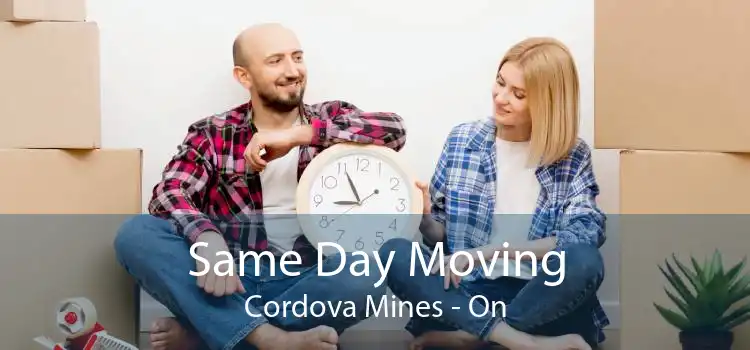 Same Day Moving Cordova Mines - On