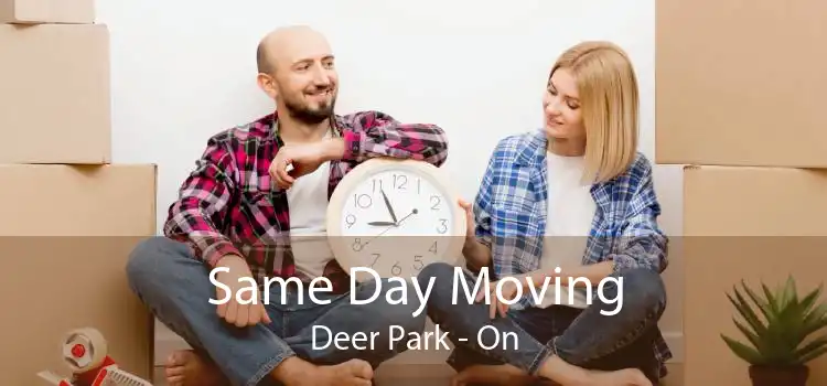 Same Day Moving Deer Park - On