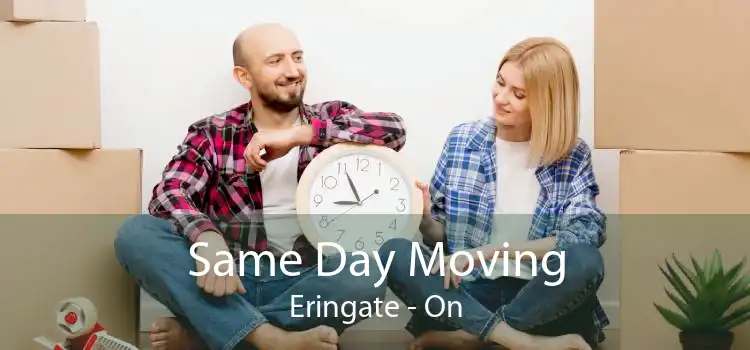 Same Day Moving Eringate - On