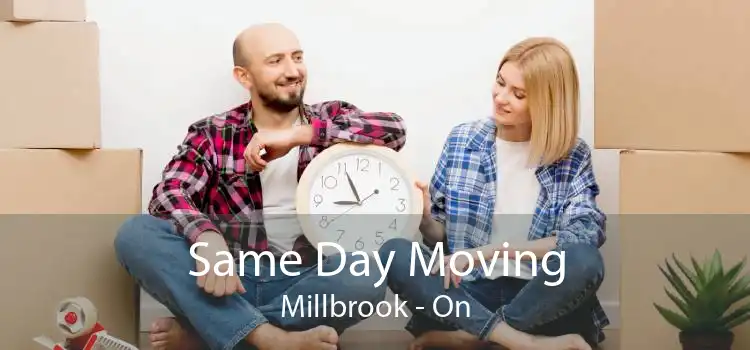Same Day Moving Millbrook - On