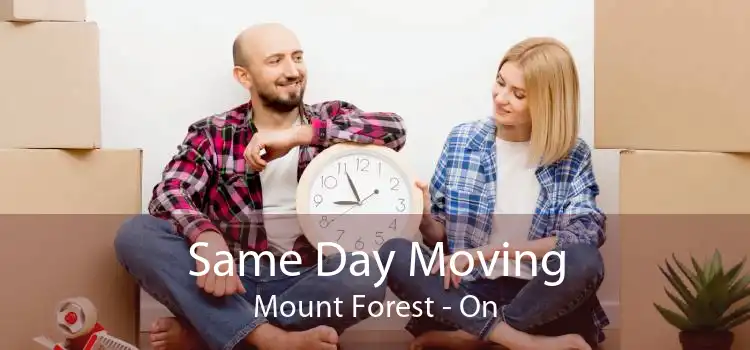 Same Day Moving Mount Forest - On
