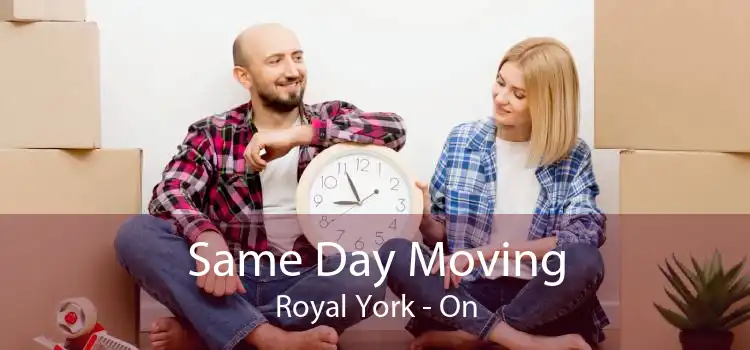 Same Day Moving Royal York - On