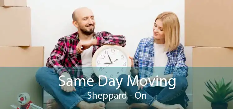Same Day Moving Sheppard - On