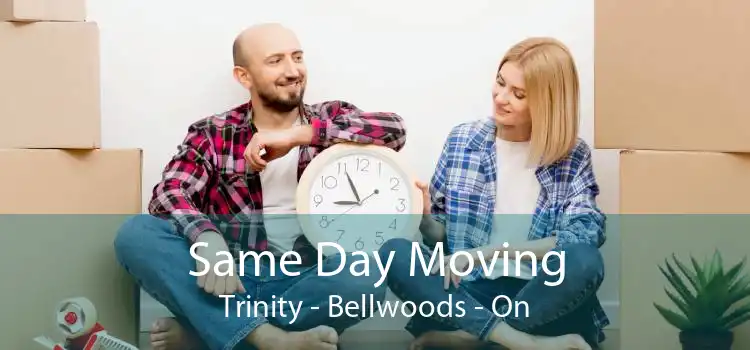 Same Day Moving Trinity - Bellwoods - On