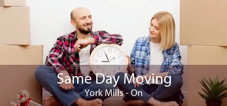 Same Day Moving York Mills - On