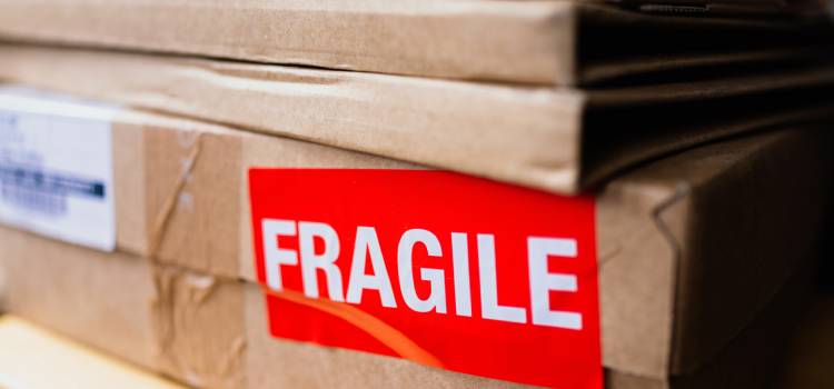 Fragile Item Moving Company in Toronto