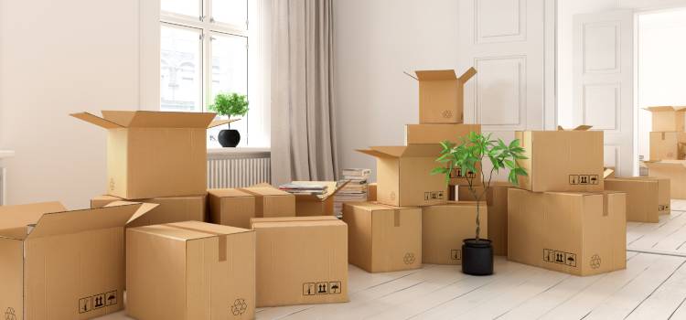 Packing & Unpacking Company in Niagara Falls
